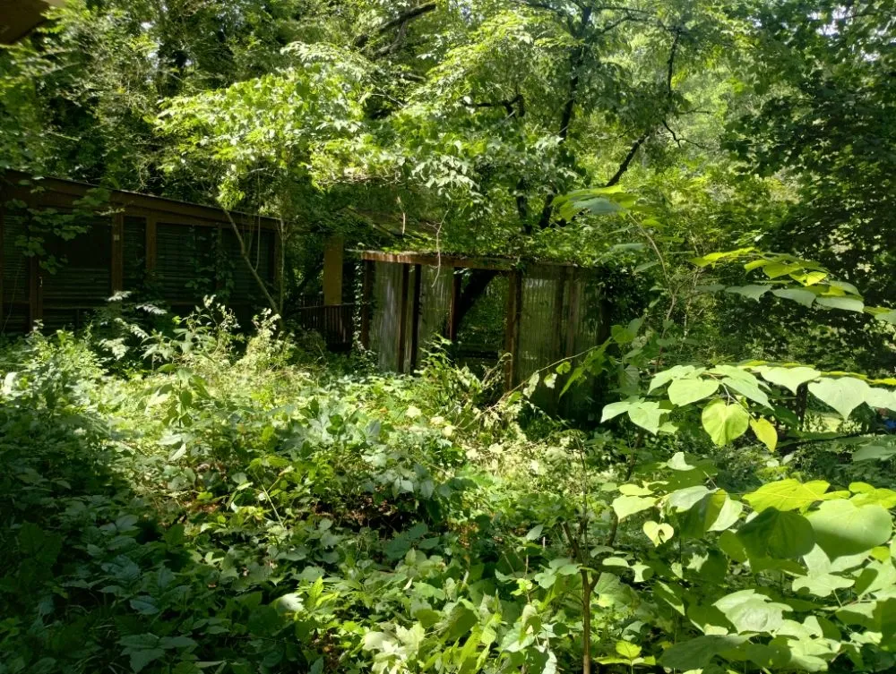 Custom yard cleanup service in Rossville, GA - Brighter Days Lawncare