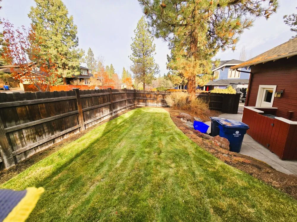 Affordable yard maintenance experts serving Kent, WA - Brighter Green