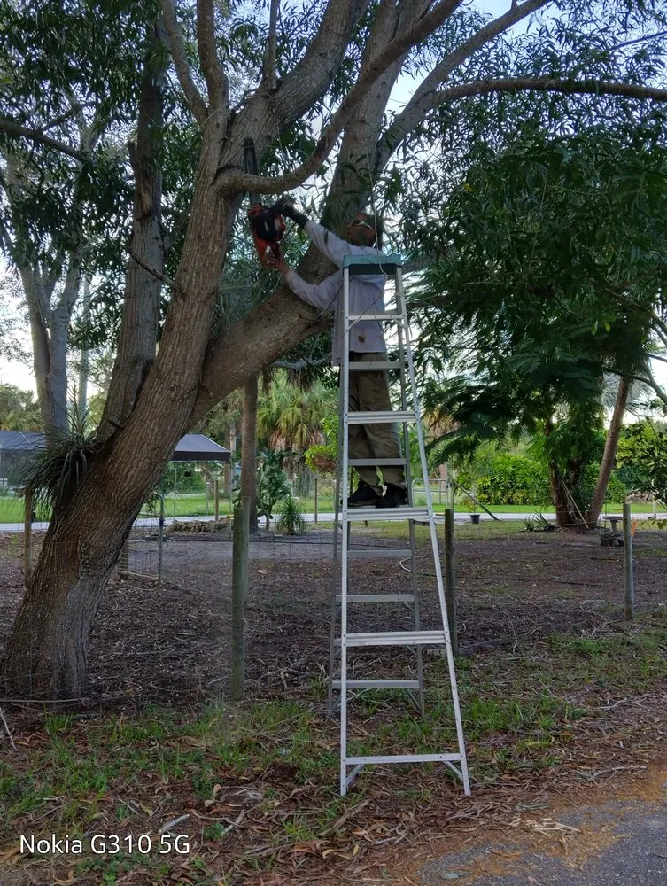 Expert lawn mowing service in Naples, FL - Brighter Image Maintenance