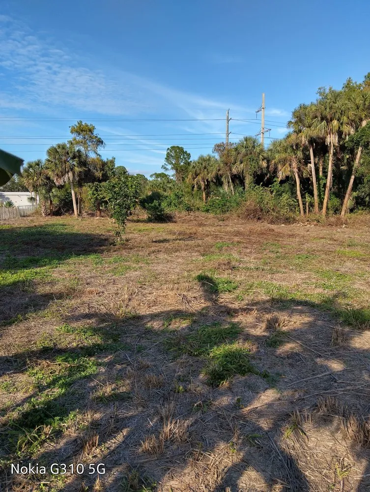 Expert landscape installation for year-round maintenance across Naples, FL - Brighter Image Maintenance