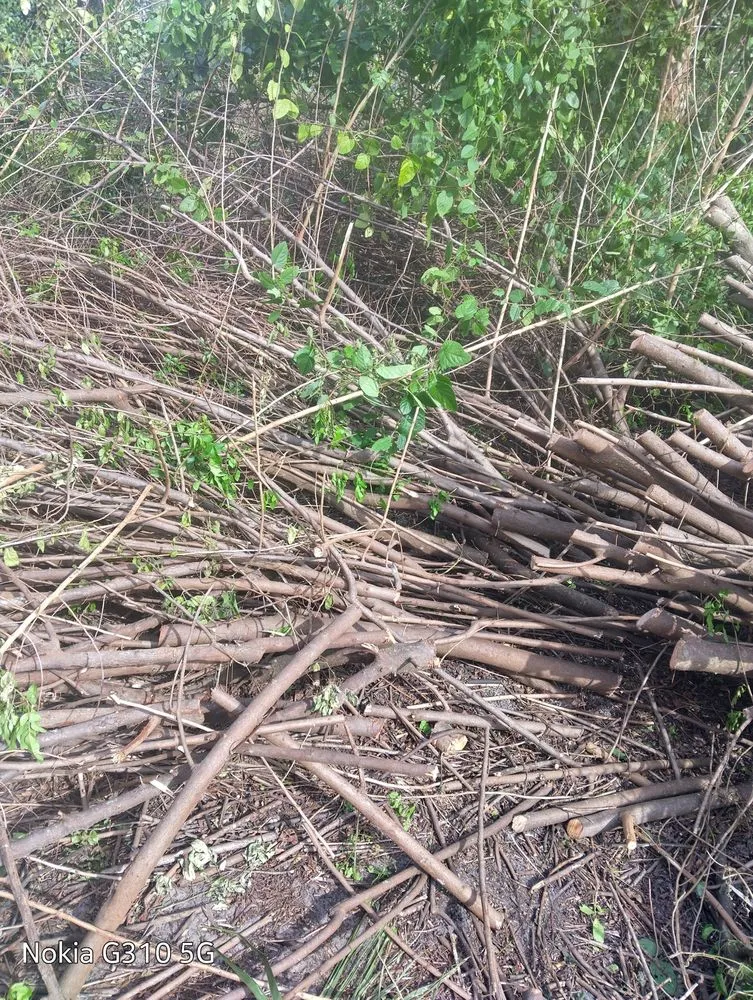 Trusted outdoor landscaping in Naples, FL by Brighter Image Maintenance