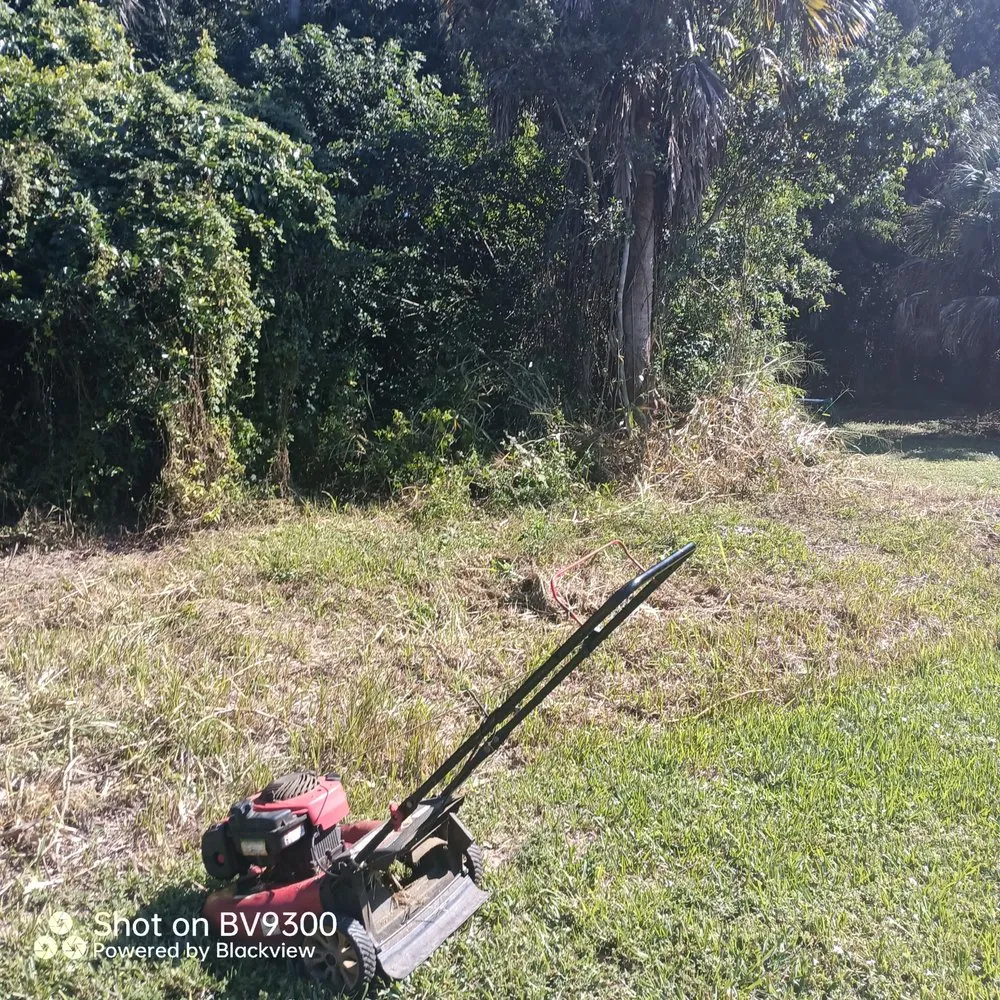 Trusted lawn mowing service for homes in Naples, FL by Brighter Image Maintenance
