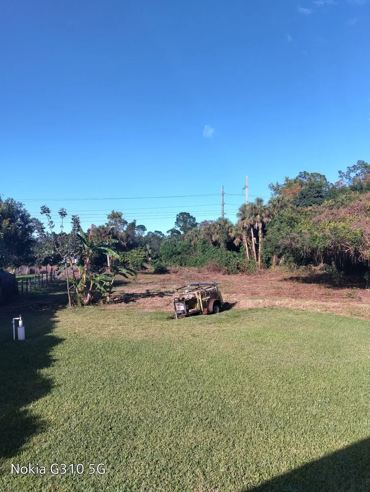 Affordable yard cleanup service for beautiful yards across Naples, FL - Brighter Image Maintenance