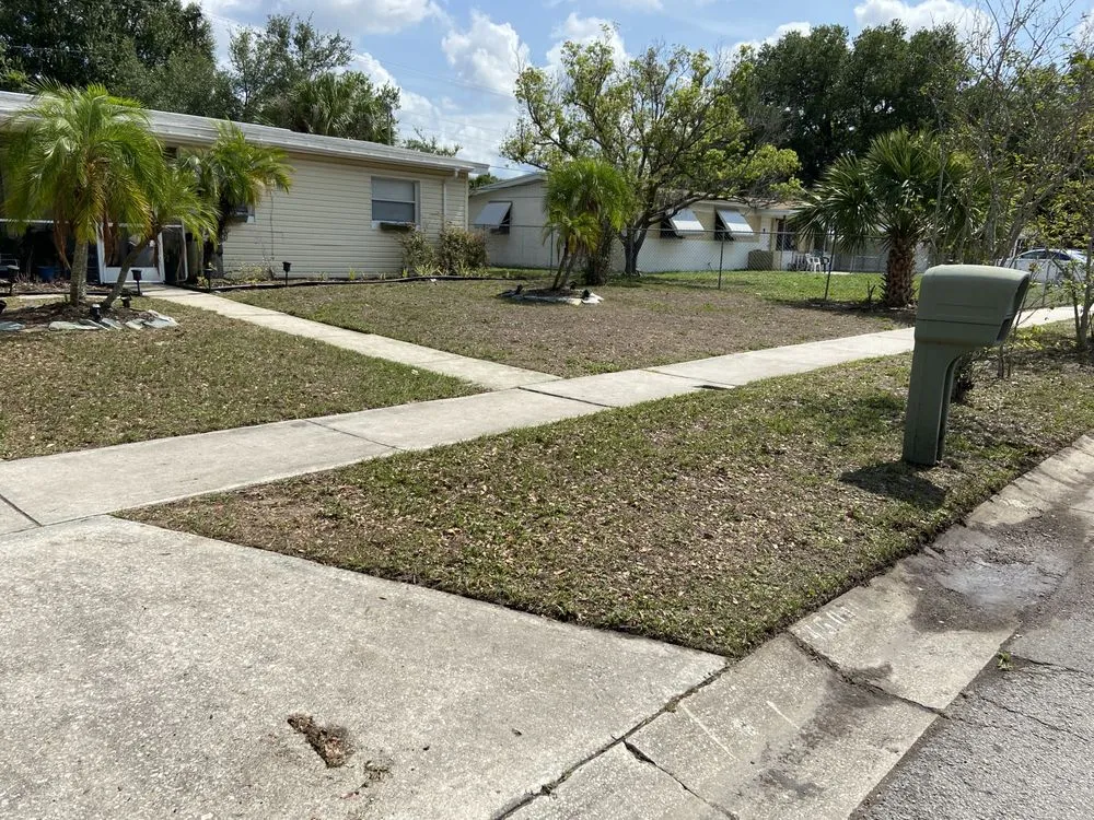 Expert lawn mowing service experts serving Tampa, FL - Brighter Vision Lawn Care