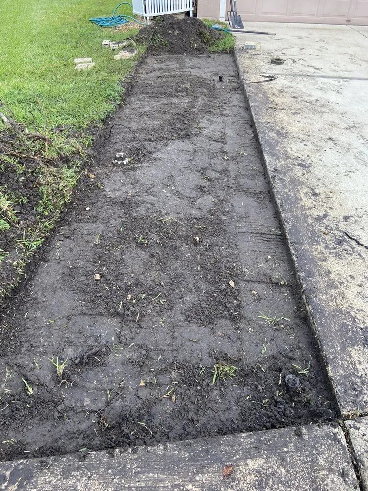 Reliable landscape installation in Tampa, FL - Brighter Vision Lawn Care