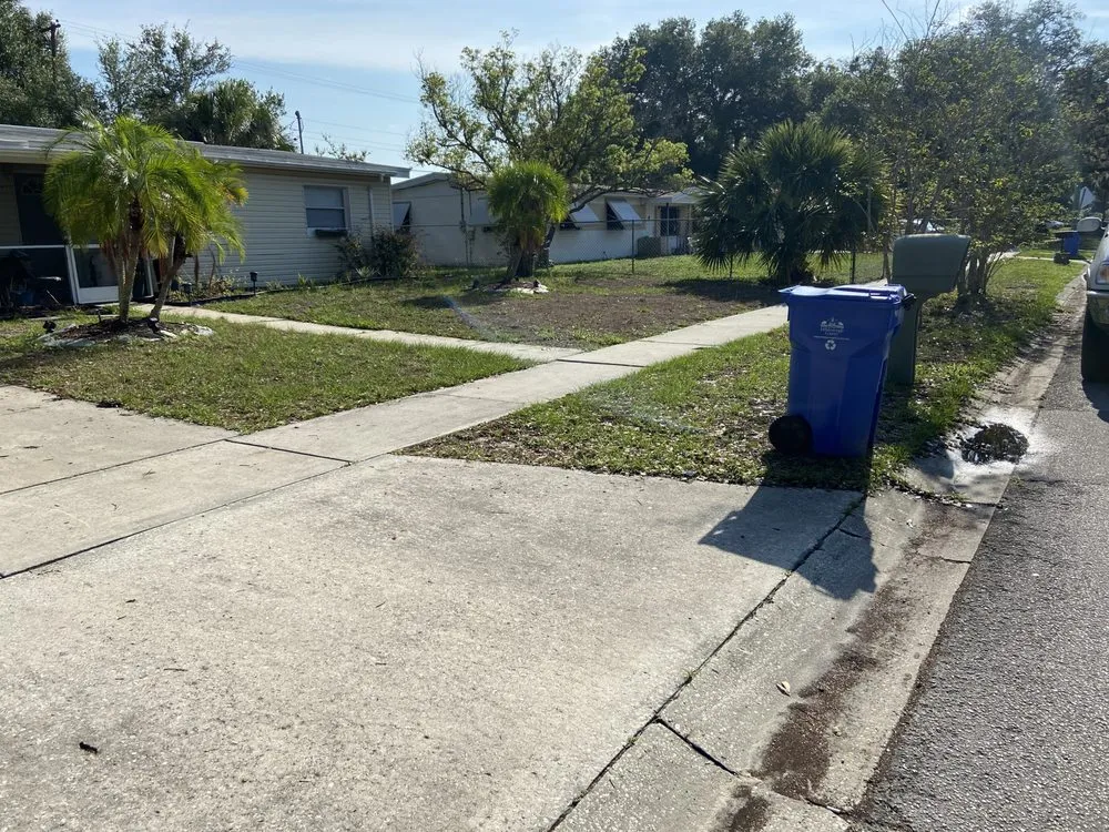 Expert landscape installation in Tampa, FL - Brighter Vision Lawn Care