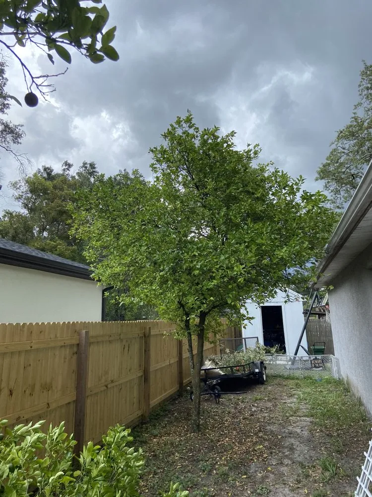 Top-rated garden landscaping for homes across Tampa, FL - Brighter Vision Lawn Care