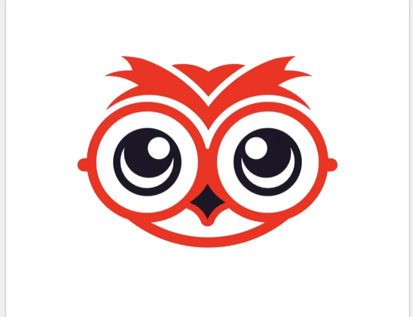 Professional outdoor landscaping experts serving Tampa, FL - Brighter Vision Lawn Care