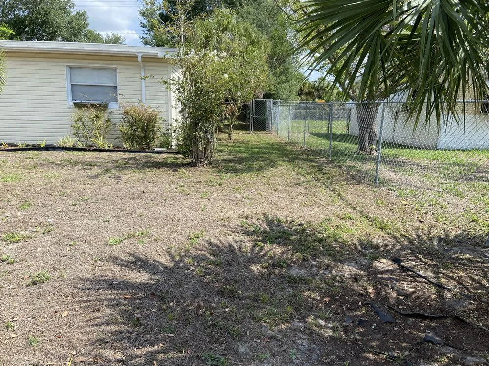 Affordable outdoor landscaping in Tampa, FL - Brighter Vision Lawn Care