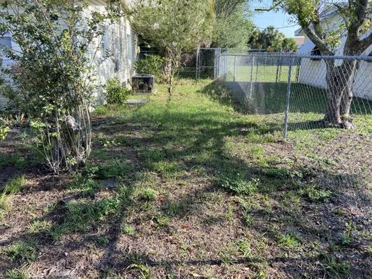 Brighter Vision Lawn Care Logo