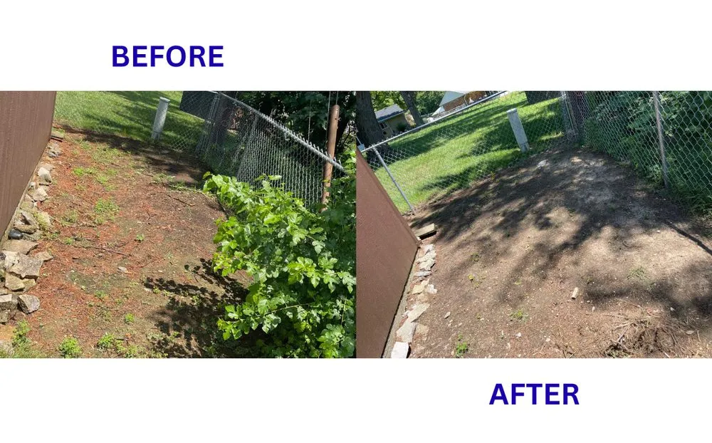 Affordable landscape design in Dayton, OH by BrightForce Exterior Care