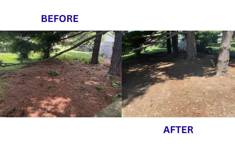 Professional garden landscaping experts serving Dayton, OH - BrightForce Exterior Care