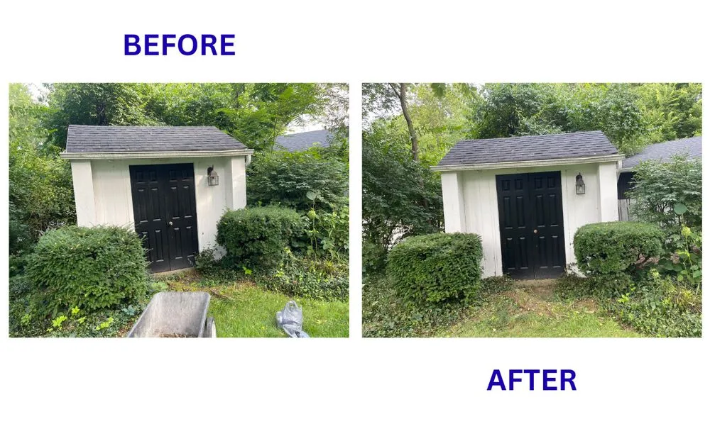 Trusted lawn care service experts serving Dayton, OH - BrightForce Exterior Care