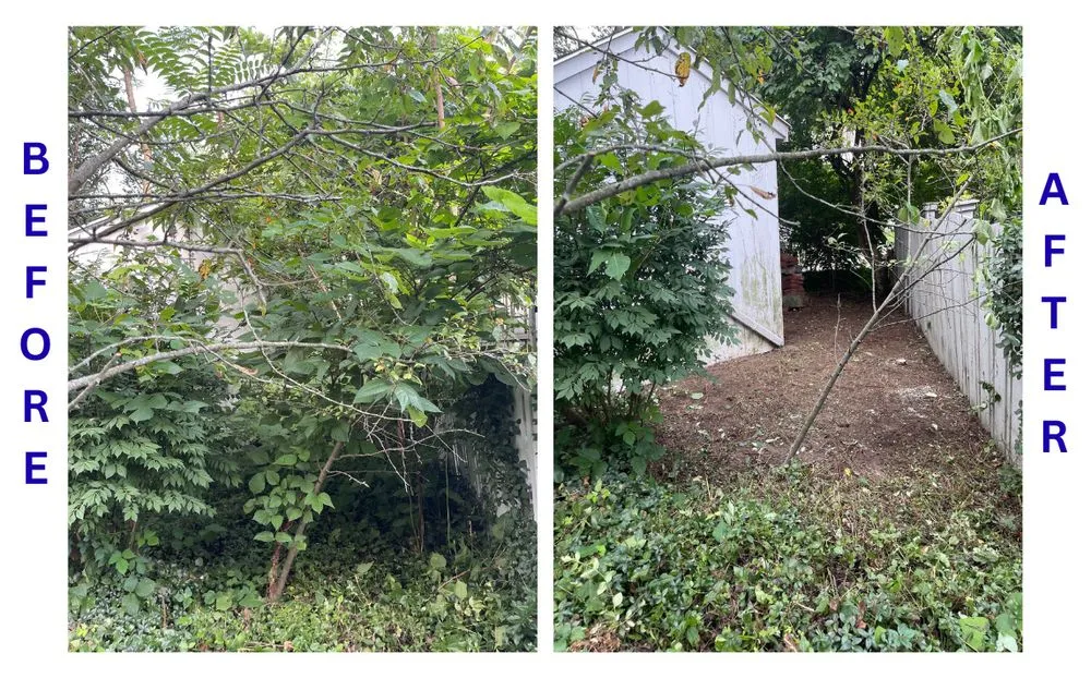 Reliable yard cleanup service for residential properties across Dayton, OH - BrightForce Exterior Care