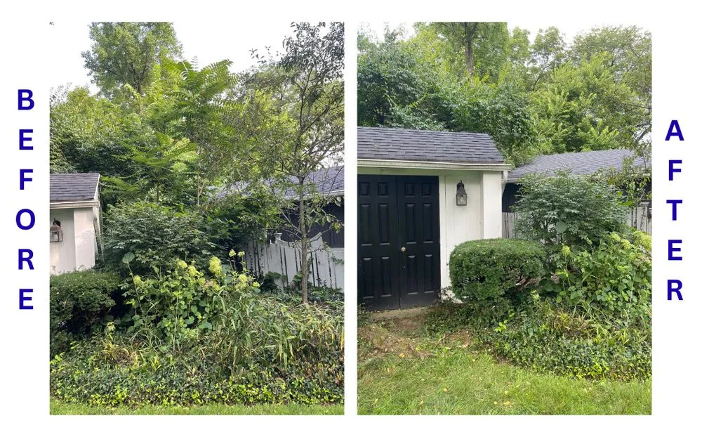 Reliable lawn mowing service in Dayton, OH by BrightForce Exterior Care