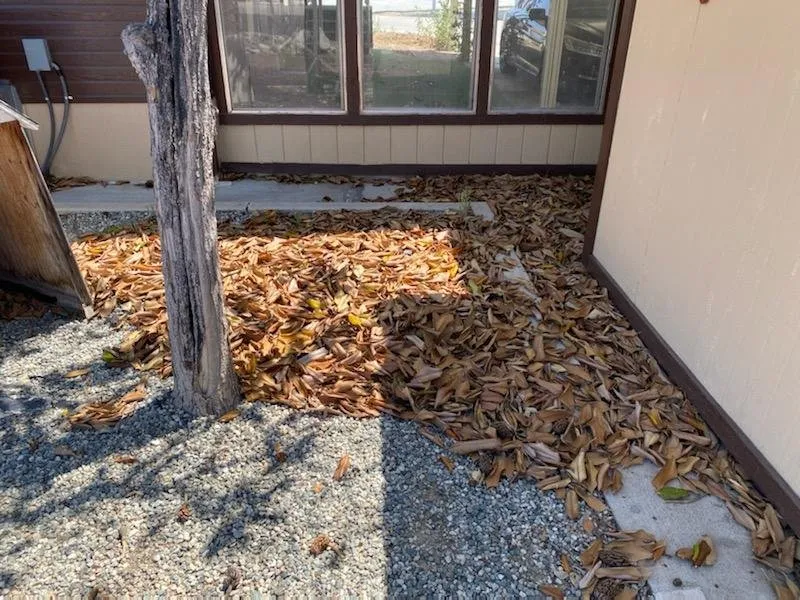 Expert landscape installation for year-round maintenance in Hemet, CA by Brightgreen landscape