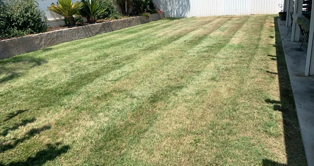 Professional landscape installation near you across Hemet, CA - Brightgreen landscape