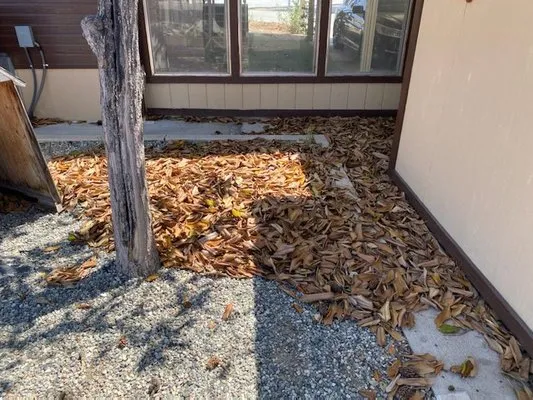 Brightgreen landscape Logo