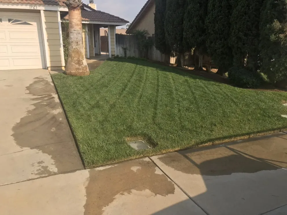 Local yard cleanup service for homes across Beaumont, CA - Brightgreen Lawns