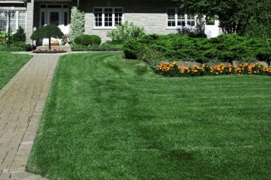 Reliable lawn care service for year-round maintenance in Beaumont, CA by Brightgreen Lawns