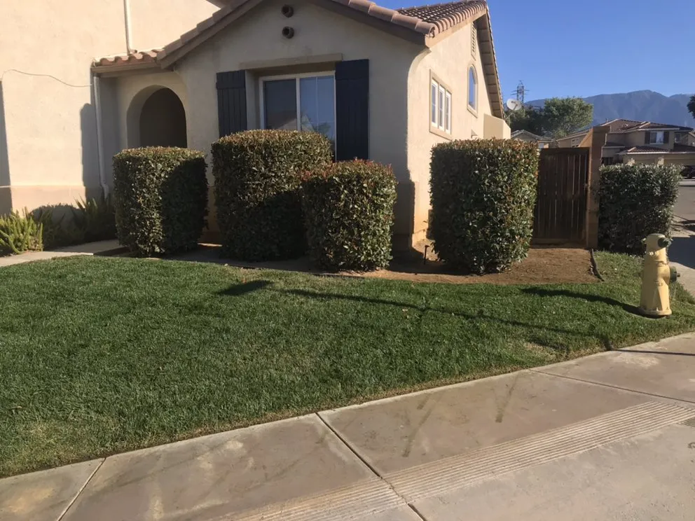 Professional lawn care service in Beaumont, CA - Brightgreen Lawns