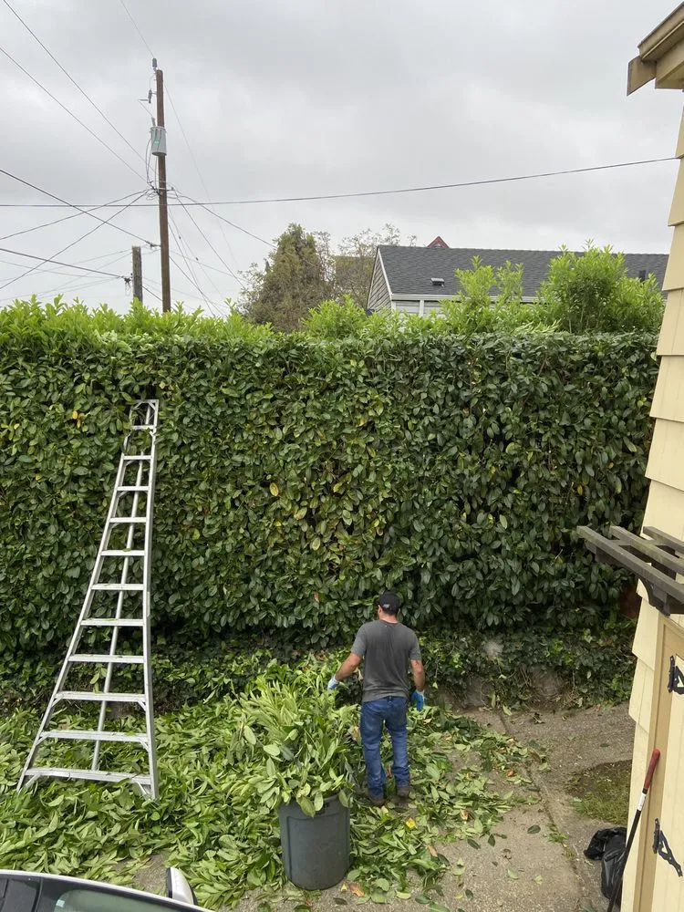 Local landscaping services experts serving Federal Way, WA - Brighthorizon Lawn Care