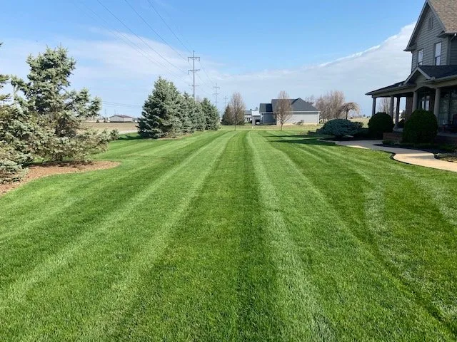 Trusted yard maintenance near you in Waynesville, NC by Brightlight Cleaning and Lawncare