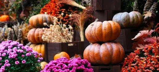 Affordable yard maintenance in Louisburg, KS by BrightNest Exteriors