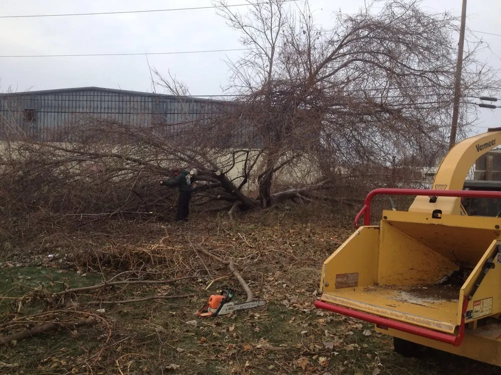 Expert outdoor landscaping for homes across Temperance, MI - Brighton Lawn And Landscape