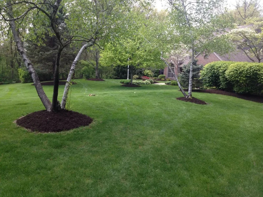 Expert landscape design experts serving Temperance, MI - Brighton Lawn And Landscape