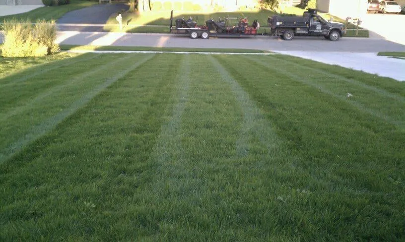 Top-rated yard cleanup service near you across Temperance, MI - Brighton Lawn And Landscape