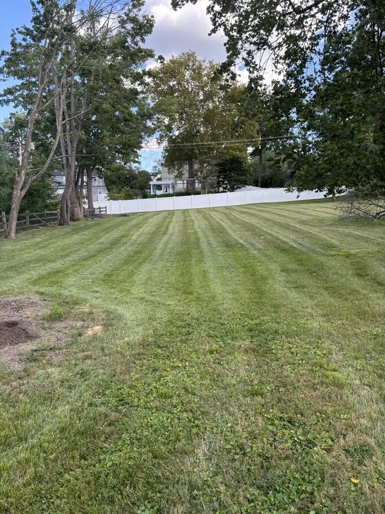 Custom landscape installation in Plymouth Meeting, PA by Brighton Road Landscaping