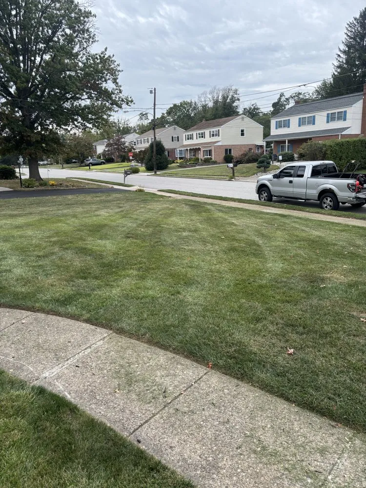 Expert outdoor landscaping in Plymouth Meeting, PA - Brighton Road Landscaping