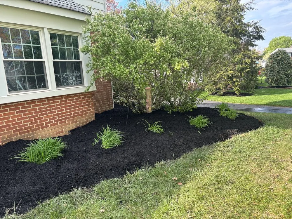 Expert yard maintenance in Plymouth Meeting, PA - Brighton Road Landscaping