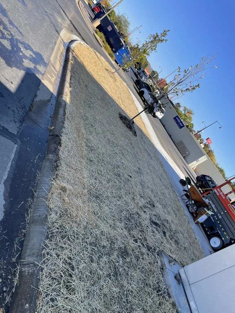 Professional outdoor landscaping in Winnebago, IL by Brights Construction