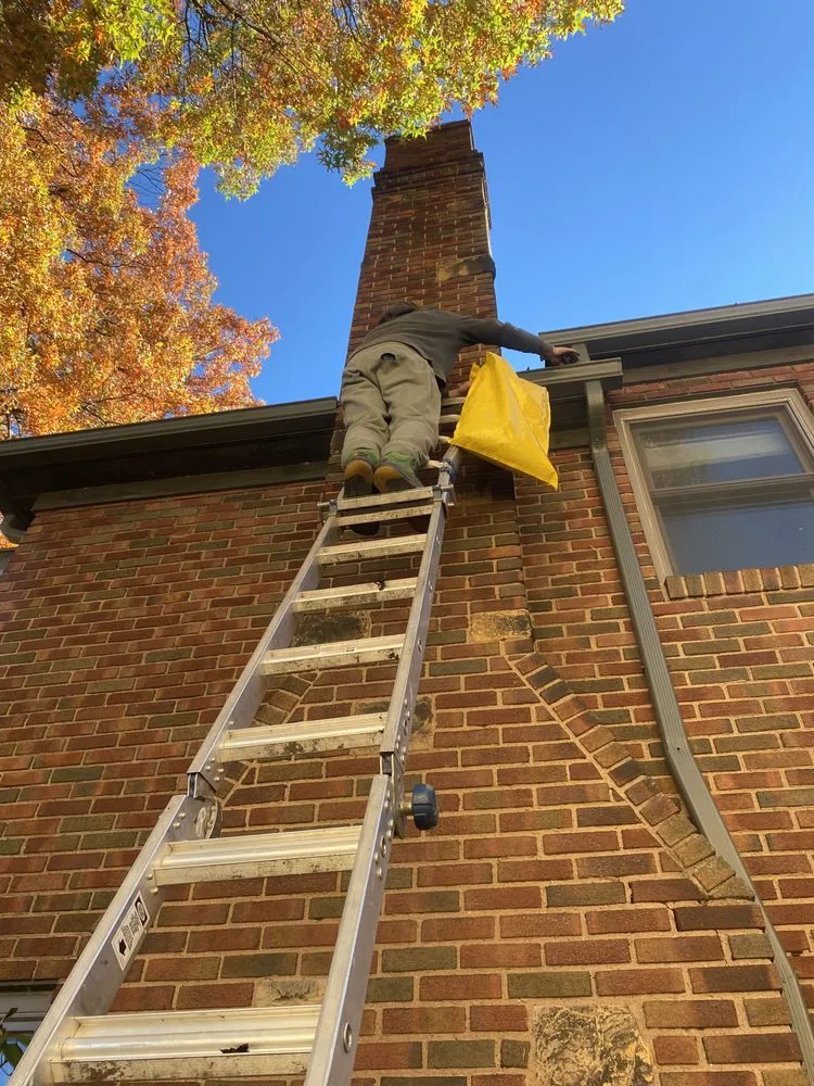 Local lawn care service experts serving Rocky River, OH - Brightscape Enterprises