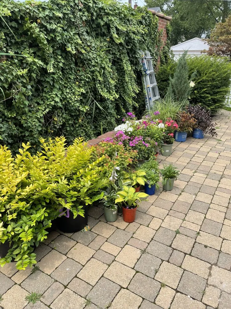 Reliable lawn mowing service in Rocky River, OH - Brightscape Enterprises