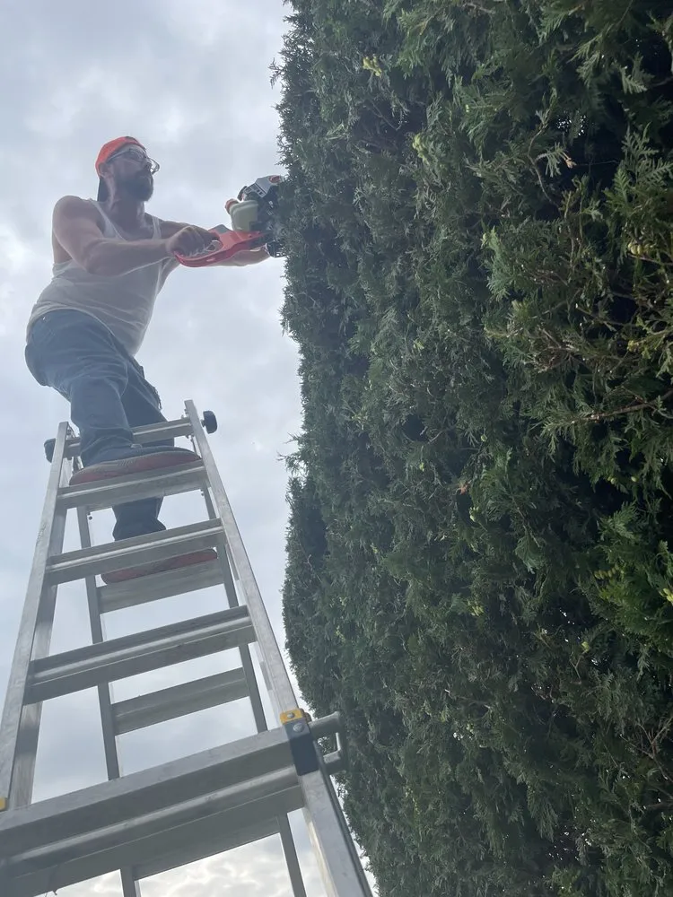 Top-rated garden landscaping with custom design across Rocky River, OH - Brightscape Enterprises