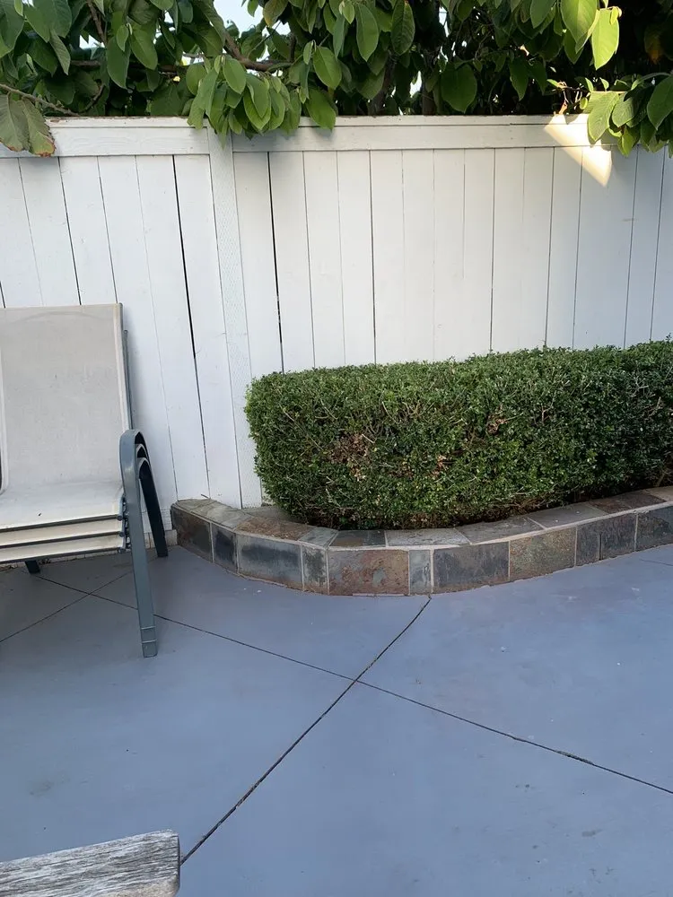 Professional residential landscaping for beautiful yards across Newport Beach, CA - Brightside Landcare