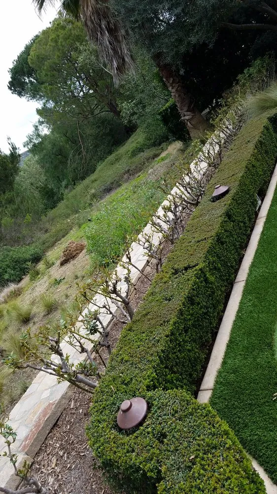 Trusted residential landscaping for homes across Newport Beach, CA - Brightside Landcare