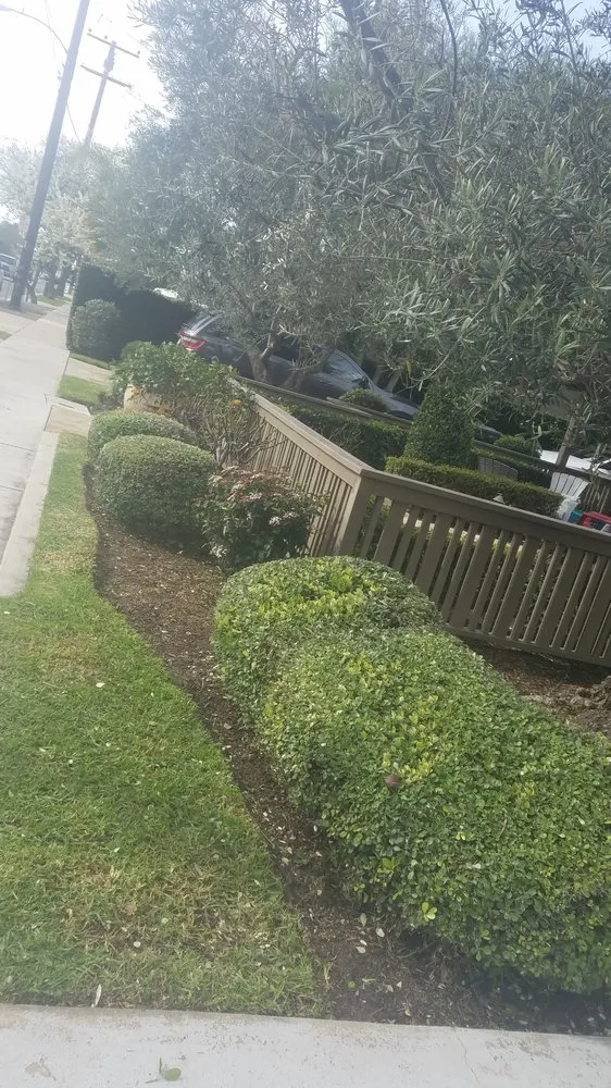 Trusted landscape design experts serving Newport Beach, CA - Brightside Landcare