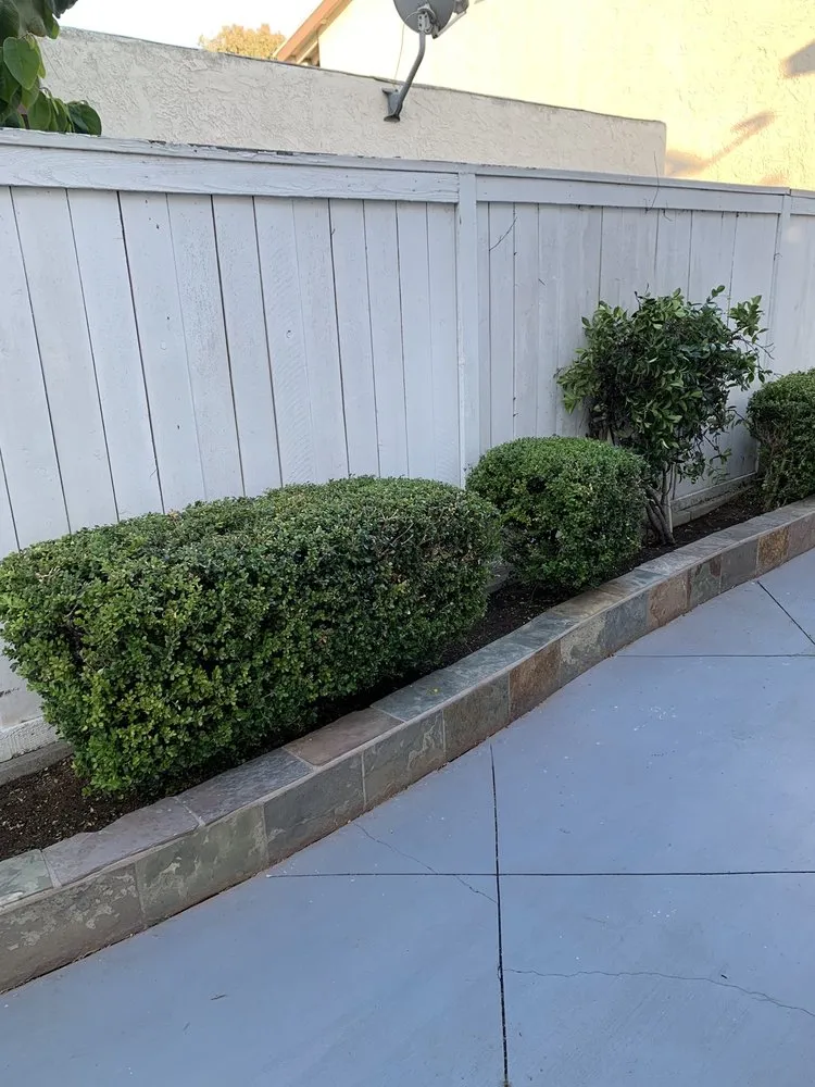 Expert lawn mowing service experts serving Newport Beach, CA - Brightside Landcare