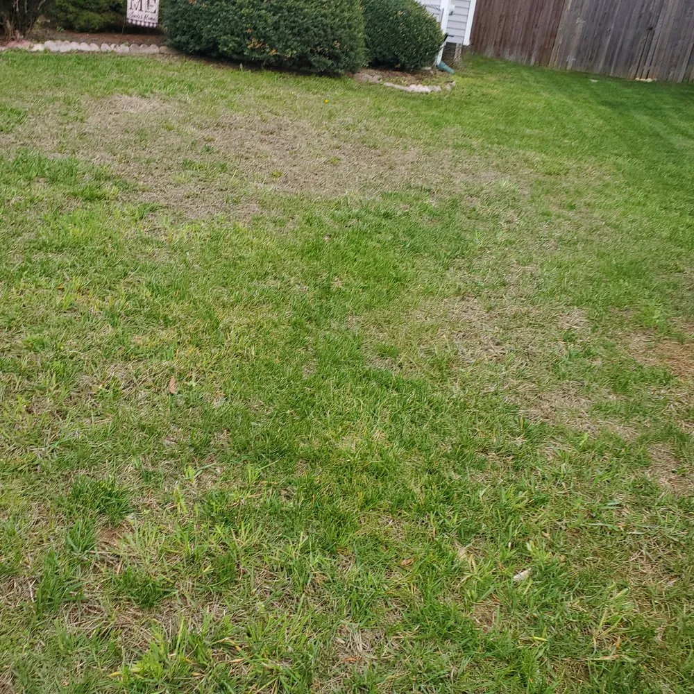 Affordable landscape installation for homes in Newark, DE by Brightside Landscaping