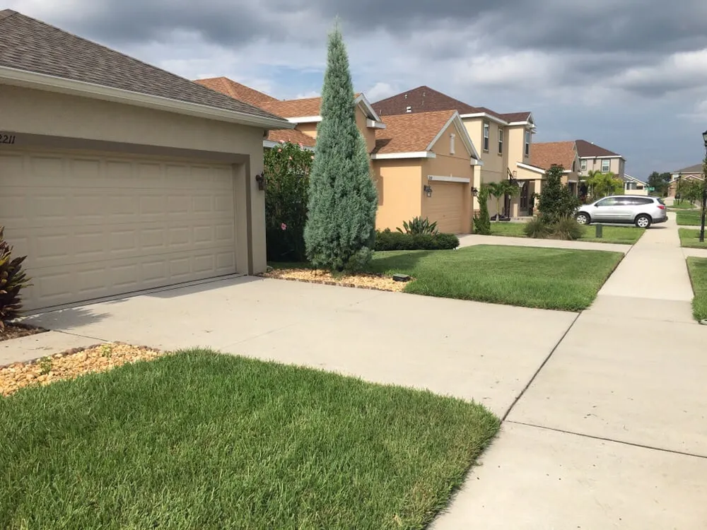 Custom landscape installation in Valrico, FL - Brightside Professional Services