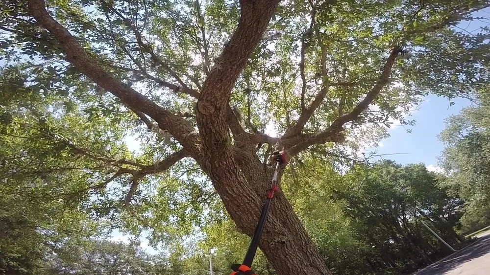 Top-rated landscape installation in Valrico, FL by Brightside Professional Services