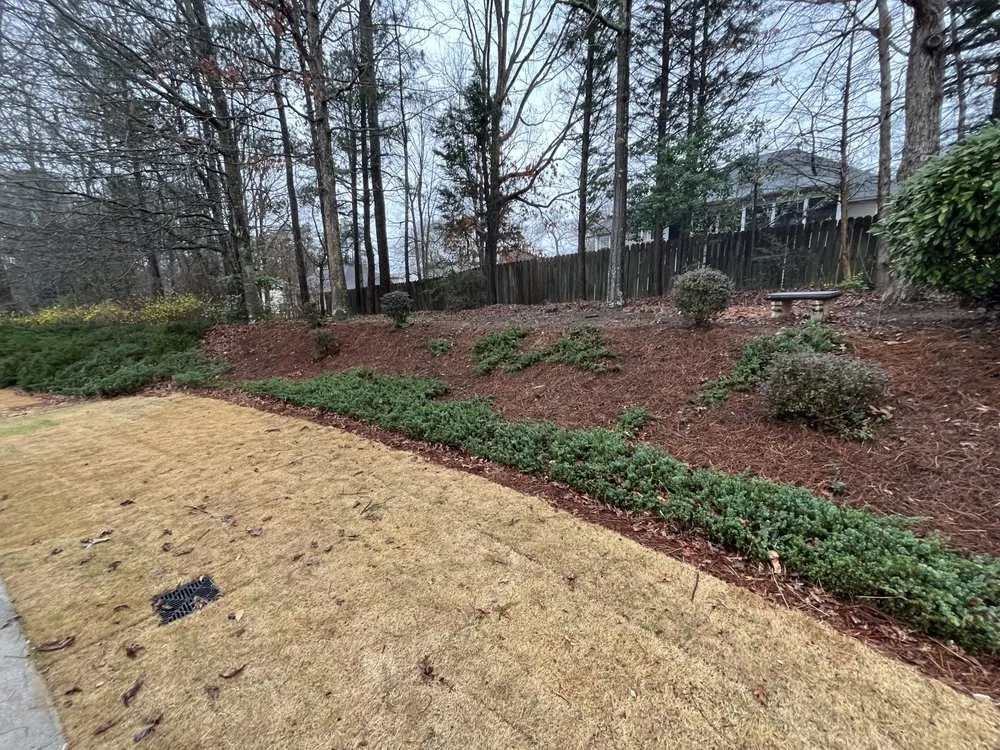 Custom landscape installation for year-round maintenance across Forest Park, GA - Brightspace Maintenance