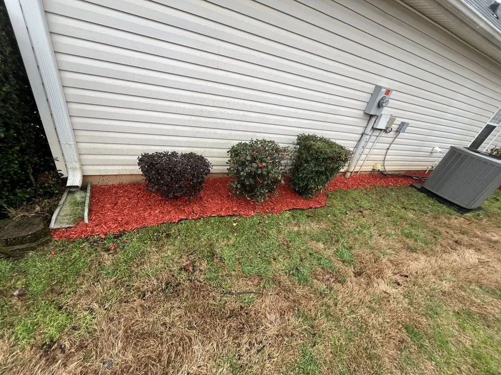 Affordable yard cleanup service in Forest Park, GA - Brightspace Maintenance