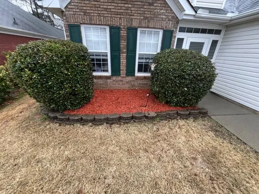 Brightspace Maintenance Logo