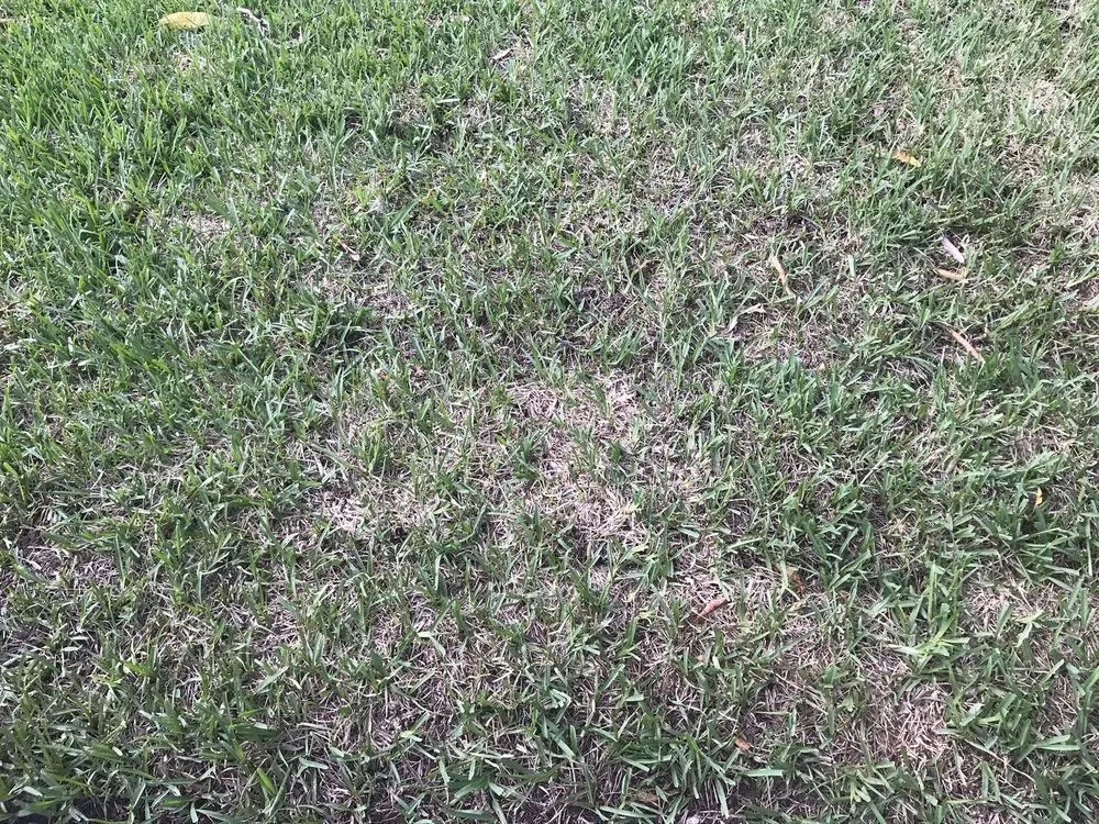 Trusted garden landscaping for residential properties across Pembroke Pines, FL - Brightstar Lawn & Landscaping