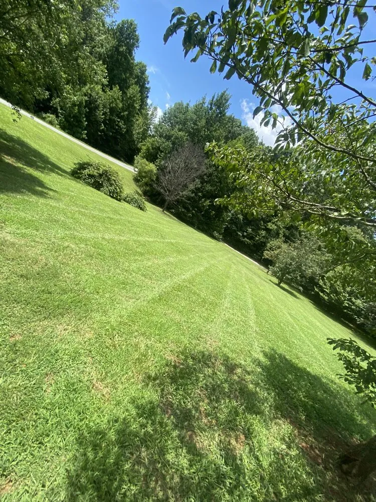 Expert garden landscaping experts serving Randleman, NC - BrightStars Landscaping